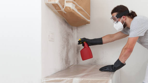 Professional Black Mold Remediation technician working in Midland Park, NJ