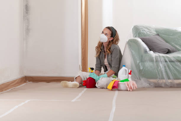Reliable Black Mold Remediation contractor in Midland Park, NJ by Mold Remediation HQ